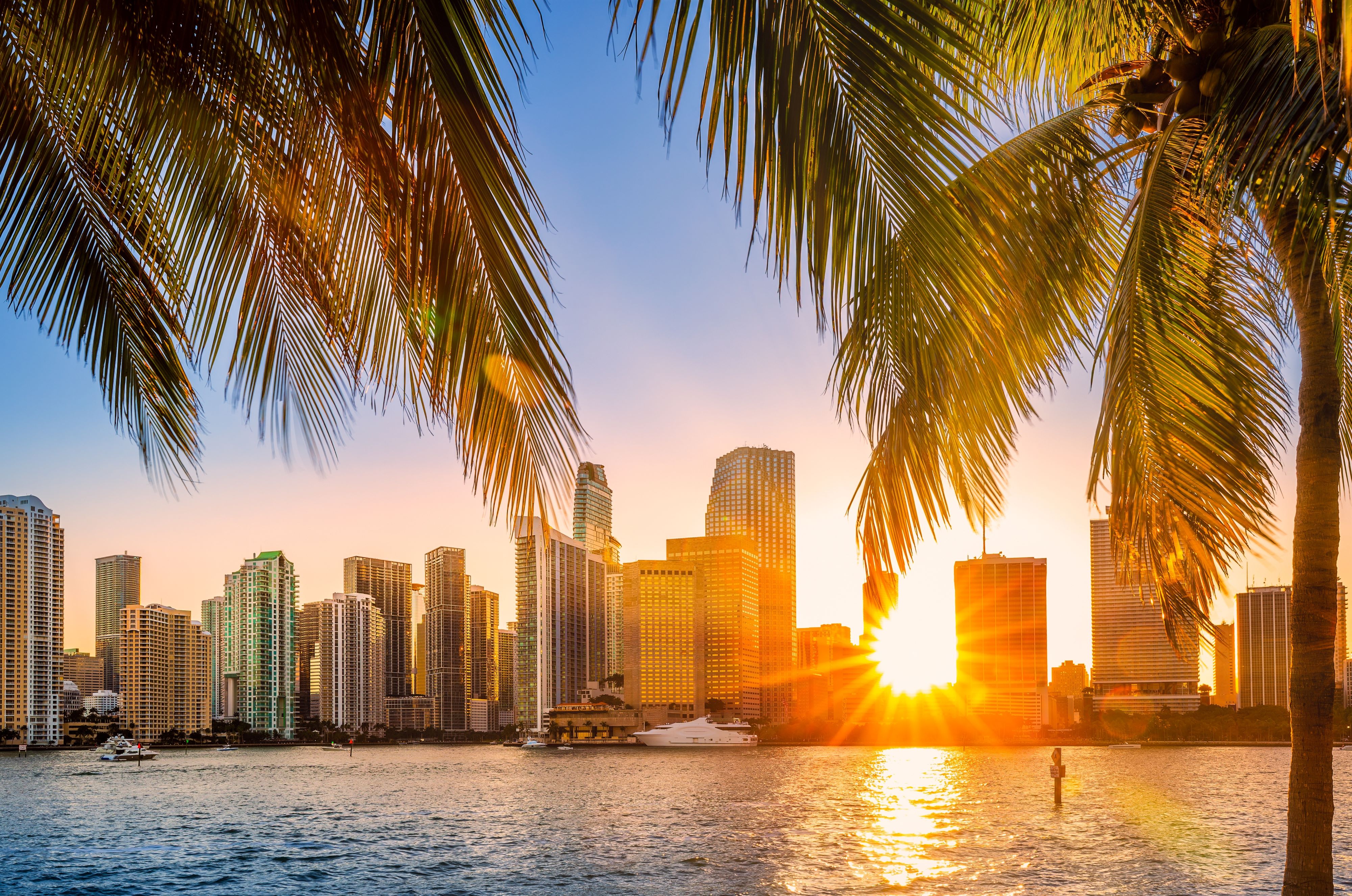 Miami Downtown Night
